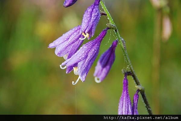 DSC_9236.JPG DSC_9236.JPG