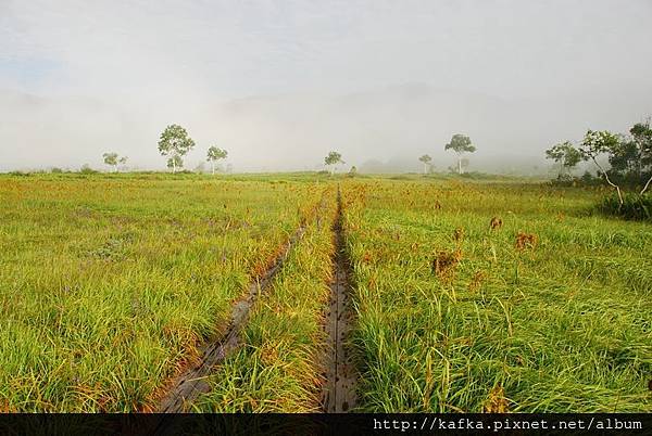 DSC_9248.JPG DSC_9248.JPG