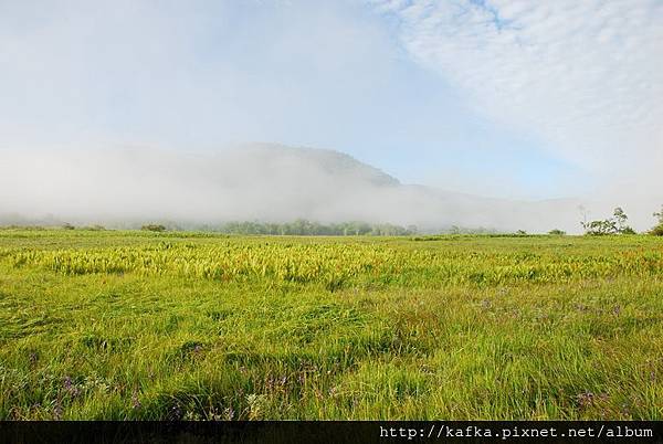 DSC_9250.JPG DSC_9250.JPG