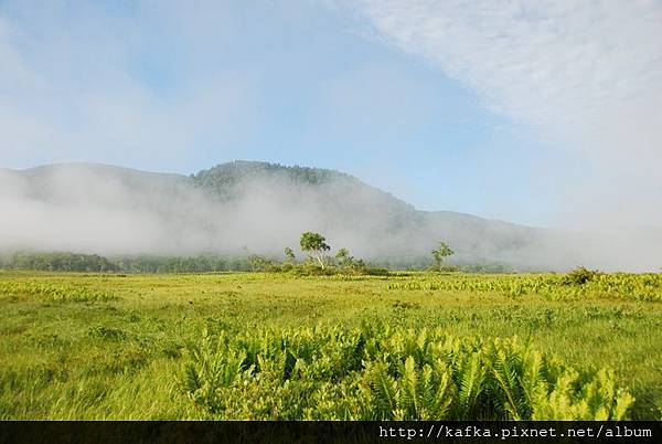 DSC_9254.JPG DSC_9254.JPG