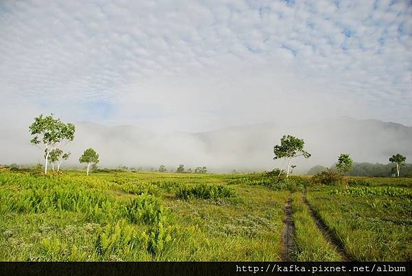 DSC_9256.JPG DSC_9256.JPG