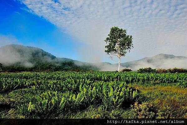 DSC_9263.JPG DSC_9263.JPG