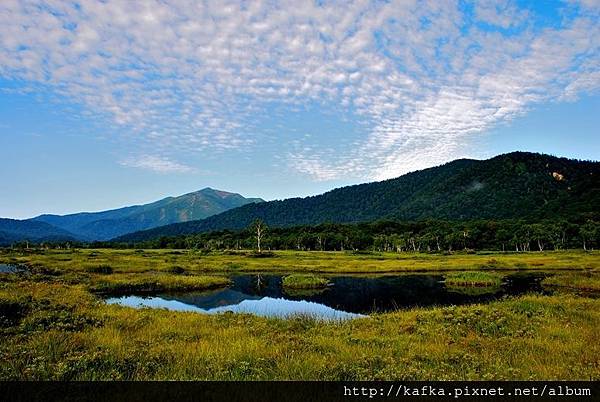 DSC_9272.JPG DSC_9272.JPG