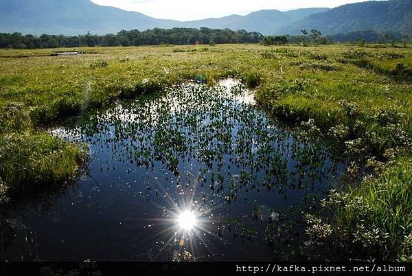 DSC_9294.JPG DSC_9294.JPG