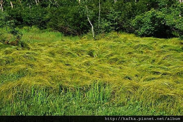 DSC_9303.JPG DSC_9303.JPG