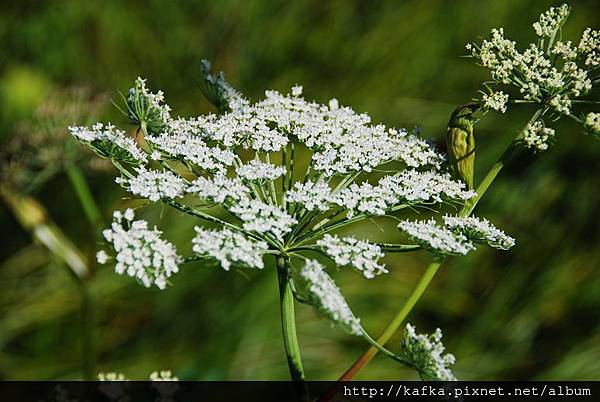 DSC_9305.JPG DSC_9305.JPG