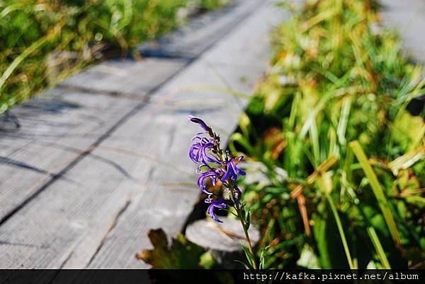 DSC_9309.JPG DSC_9309.JPG