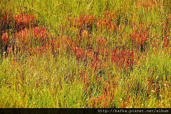 DSC_9317.JPG DSC_9317.JPG