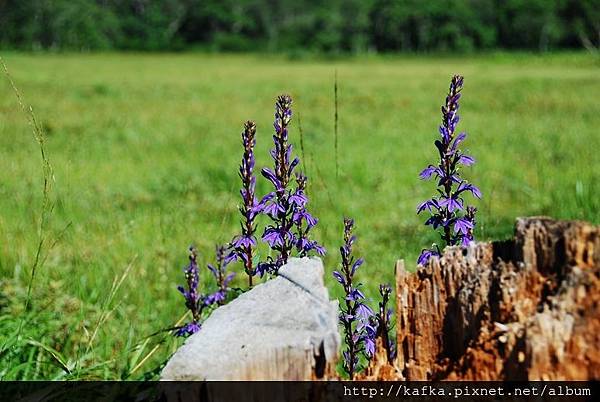 DSC_9320.JPG DSC_9320.JPG