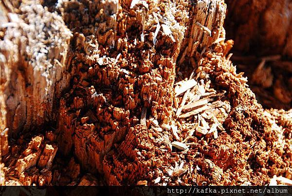 DSC_9328.JPG DSC_9328.JPG