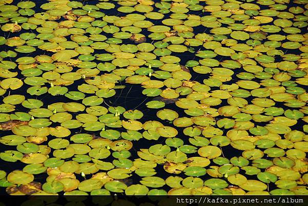 DSC_9330.JPG DSC_9330.JPG