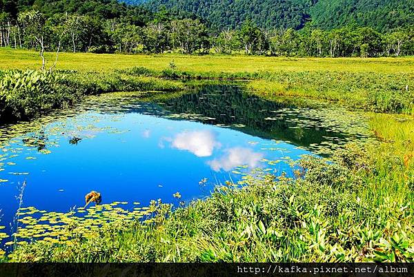 DSC_9331.JPG DSC_9331.JPG