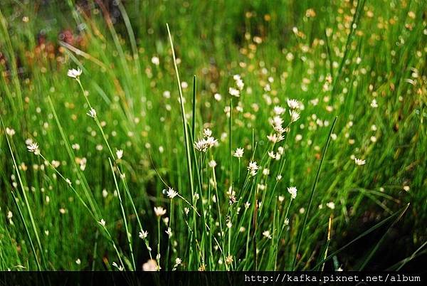 DSC_9338.JPG DSC_9338.JPG