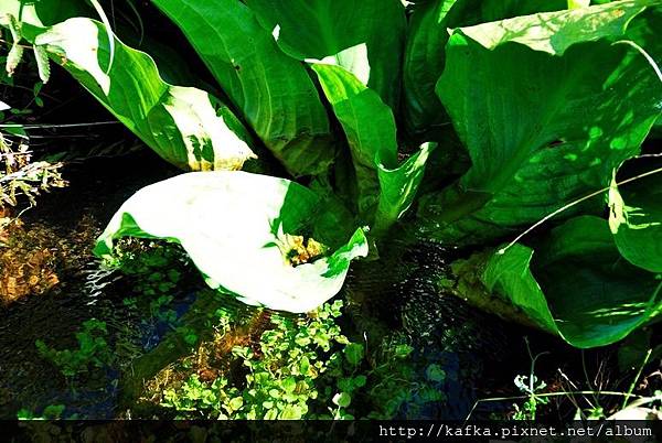 DSC_9351.JPG DSC_9351.JPG