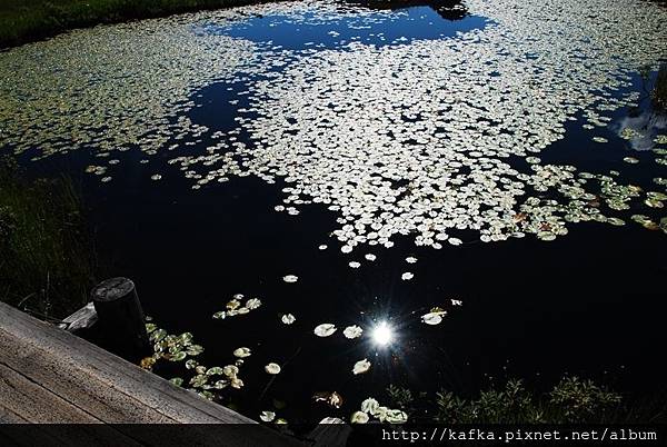 DSC_9349.JPG DSC_9349.JPG