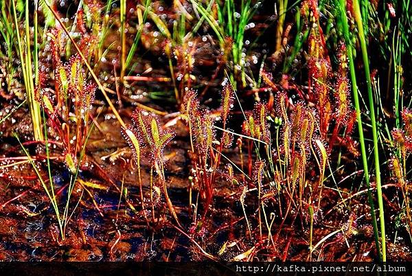 DSC_9341.JPG DSC_9341.JPG