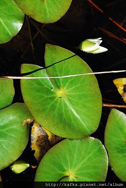 DSC_9344.JPG DSC_9344.JPG