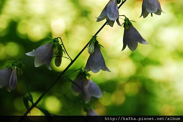 DSC_9361.JPG DSC_9361.JPG