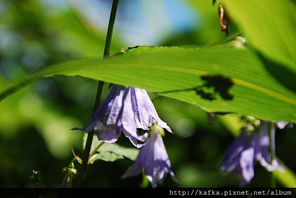 DSC_9365.JPG DSC_9365.JPG