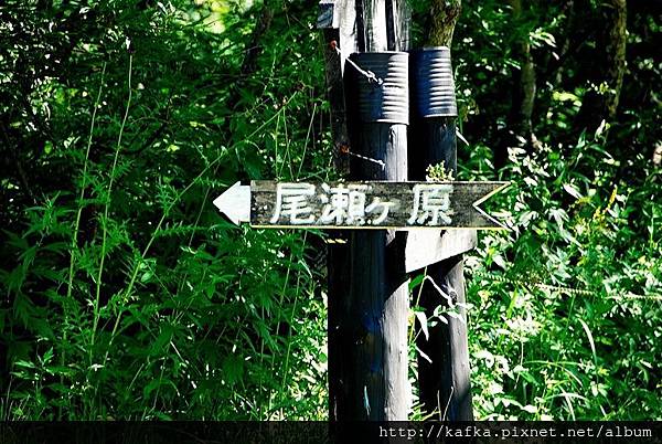 DSC_9354.JPG DSC_9354.JPG