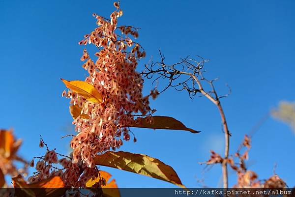 04DSC_3187.JPG 04DSC_3187.JPG