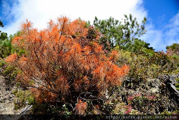 10DSC_3060.JPG 10DSC_3060.JPG