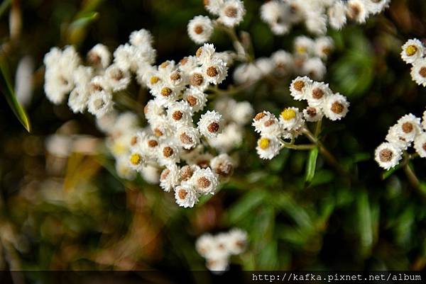 21DSC_3188.JPG 21DSC_3188.JPG