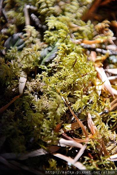 20DSC_2482.JPG 20DSC_2482.JPG