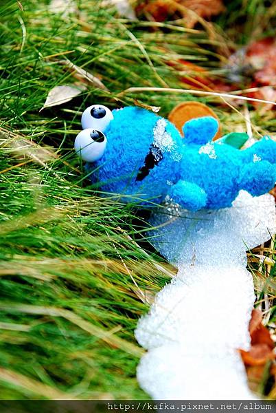 11DSC_9663.JPG 11DSC_9663.JPG