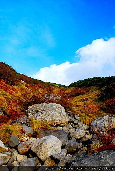 DSC_9695.JPG DSC_9695.JPG