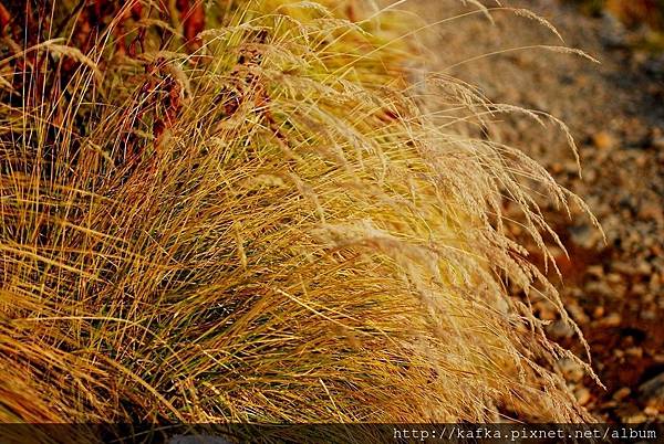 DSC_9687.JPG DSC_9687.JPG