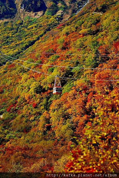 DSC_9397.JPG DSC_9397.JPG