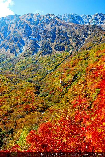 DSC_9398R.JPG DSC_9398R.JPG