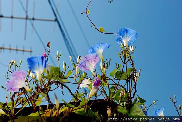 DSC_9234.JPG DSC_9234.JPG