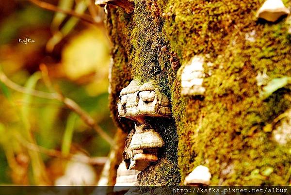 03DSC_0247.JPG 03DSC_0247.JPG