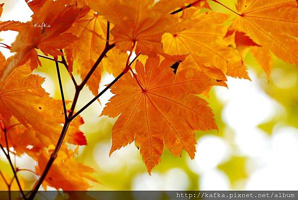 02DSC_0255.JPG 02DSC_0255.JPG