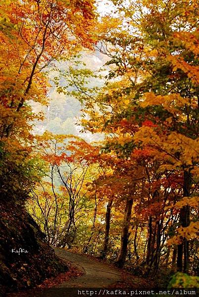 12DSC_0270.JPG 12DSC_0270.JPG