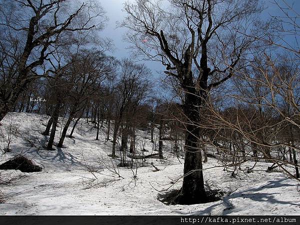 13IMG_9039.JPG 13IMG_9039.JPG