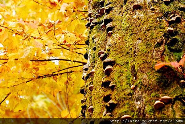 16DSC_0248.JPG 16DSC_0248.JPG