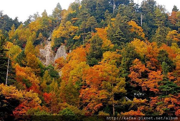 19DSC_0293.JPG 19DSC_0293.JPG