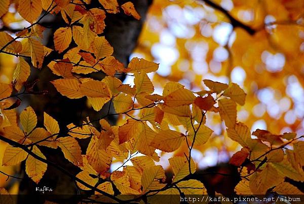18DSC_0279.JPG 18DSC_0279.JPG