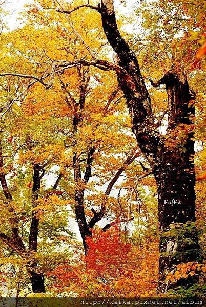 14DSC_0242.JPG 14DSC_0242.JPG