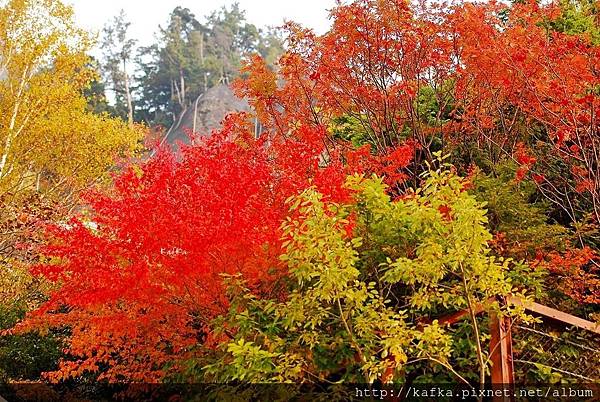 21DSC_0317.JPG 21DSC_0317.JPG