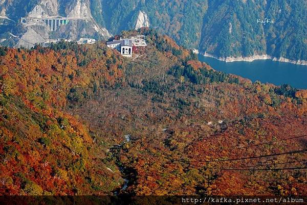 01DSC_0134.JPG 01DSC_0134.JPG