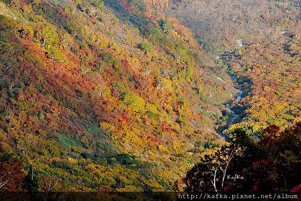 DSC_0132.JPG DSC_0132.JPG