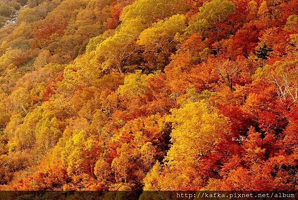 03DSC_0171.JPG 03DSC_0171.JPG