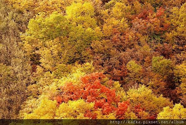 DSC_0152.JPG DSC_0152.JPG