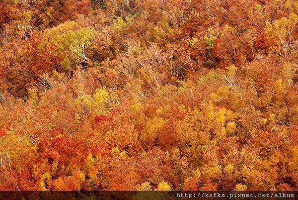 DSC_0166.JPG DSC_0166.JPG