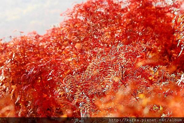 DSC_0183.JPG DSC_0183.JPG