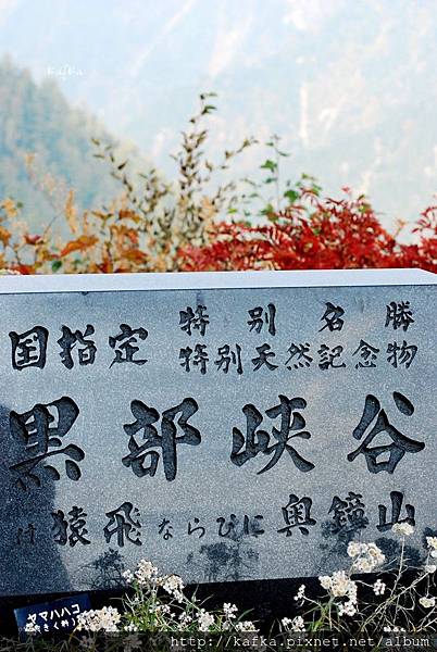 DSC_0185.JPG DSC_0185.JPG